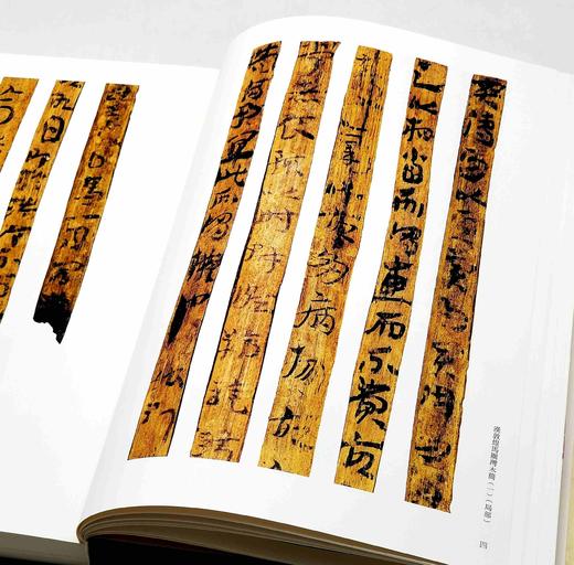 《章草全集》，精装，8开巨册，全2册，钟海涛编，河南美术出版社2018年一版一印，定价1600，售价1250元。 商品图4