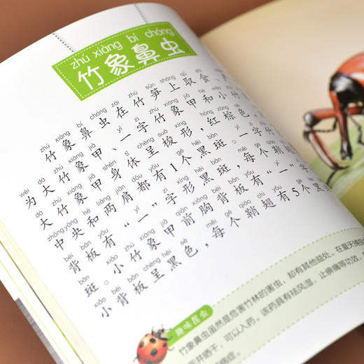 甲壳虫小百科 商品图1
