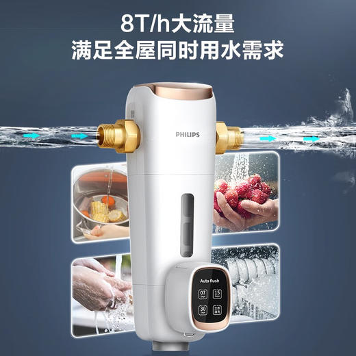 飞利浦（PHILIPS）AWP1839 8T/h前置过滤器 40微米全屋家用净水器 8T/H大流量管道过滤器三合一清洗 商品图8
