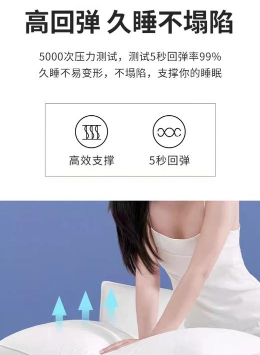 高回弹久睡不塌陷护颈枕48*74cm G114800035 商品图3