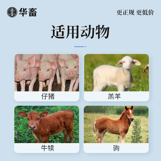 【积分兑换】华畜右旋糖酐铁注射液 血宝 补气血 抗贫血 仔猪补铁生血针 兽用生血素 商品图3