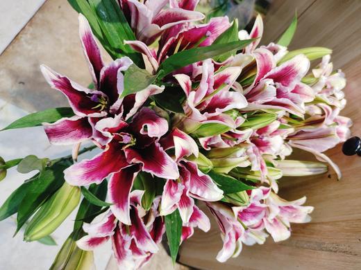 黑美人红百合3支 商品图2