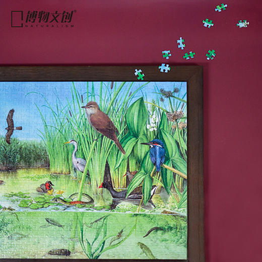 博物小馆原创【生态系统大拼图】章鱼哥精美手绘1000块拼图 商品图0