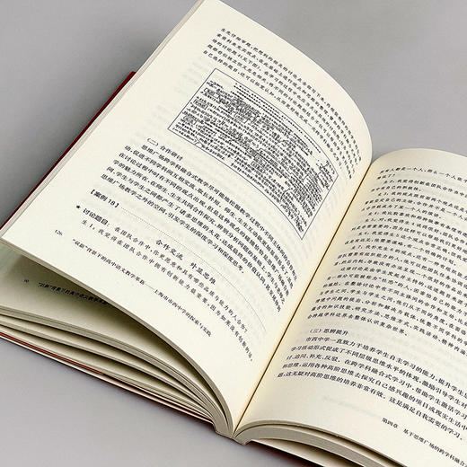“双新”背景下的高中语文教学革新 上海市市西中学的探索与实践 郑岚 董君武著 商品图11