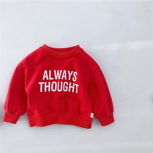 【特价39.9元/2件】童装新款女童圆领卫衣，秋装套头衫，印花纯色中小宝宝男童春秋装li 商品图10