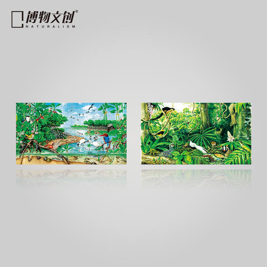 博物小馆原创【生态系统大拼图】章鱼哥精美手绘1000块拼图 商品图1