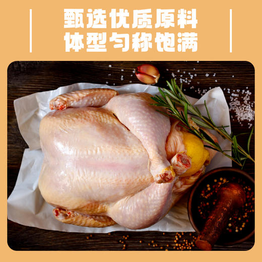 紫燕百味鸡香卤烤鸡590g手撕鸡烧鸡熟食五香鸡肉零食小吃 商品图3