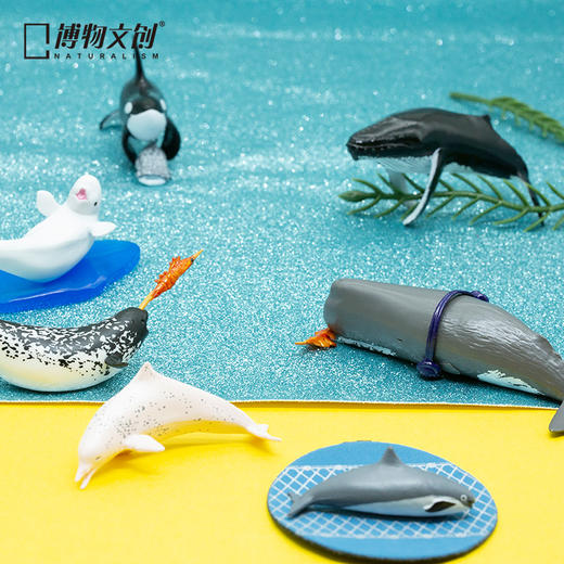 博物小馆 原创 | 天然 呆 鲸喜系列 鲸豚手办 动物模型 商品图1