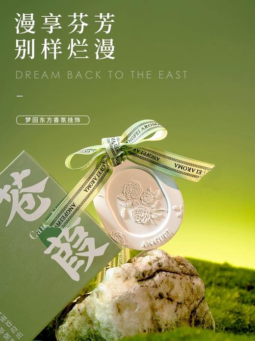 【昂妃】车载衣柜扩香石 除味香薰香挂 室内香氛挂件 创意ins风挂饰 商品图3