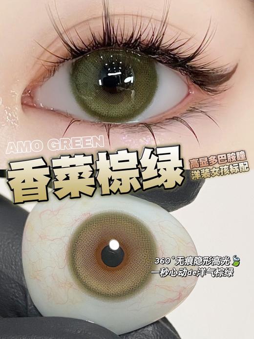 LeensColor 香菜棕绿(年抛） 商品图1