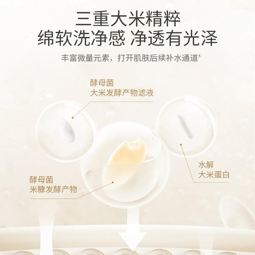 【保湿洁面乳】干皮脆弱肌可用 氨基酸清洁不紧绷 净澈毛孔 大米水润焕颜氨基酸洗面奶100g 商品图4