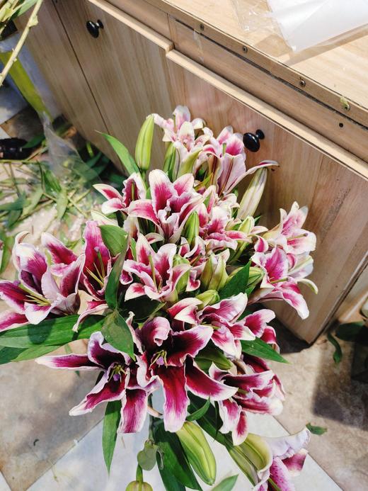 黑美人红百合3支 商品图3