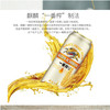 麒麟啤酒一番榨【500ml】 商品缩略图1