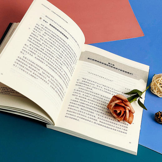 家长的思维模式 儿童成长型思维模式的培养策略 进取型学生 商品图8