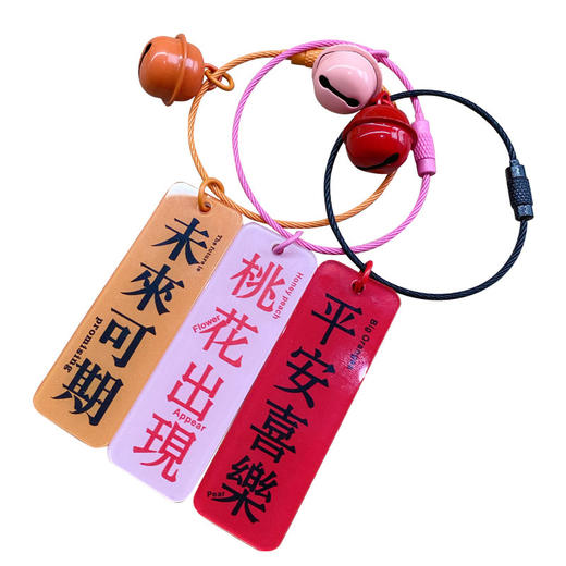 【时尚与创意的完美融合】创意文字亚克力吊牌钥匙扣挂件，金属烤漆与钢丝绳相结合，让你的钥匙不再单调无味。无论是学生还是成年人，都能从中感受到独特时尚风格，成为最靓的潮人。 商品图5