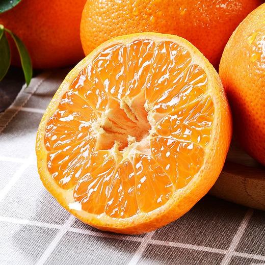 南非克莱蒙无籽蜜柑 商品图2