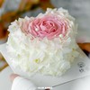 心型渐变玫瑰蛋糕 | 烤爱 商品缩略图0