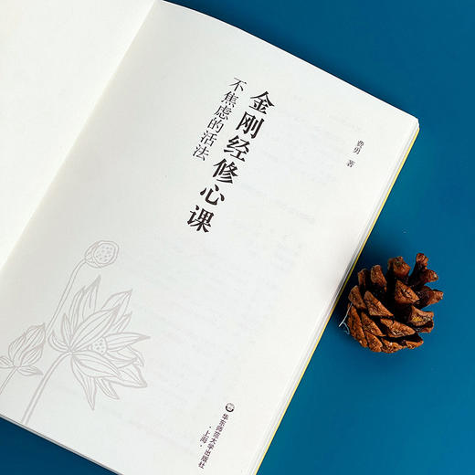 六祖坛经修心课 不抑郁的活法+金刚经修心课 不焦虑的活法套装2册 商品图7
