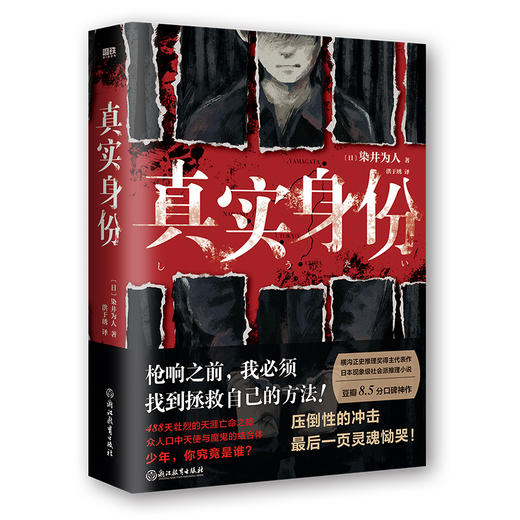 真实身份 日本现象级社会派推理小说 商品图6