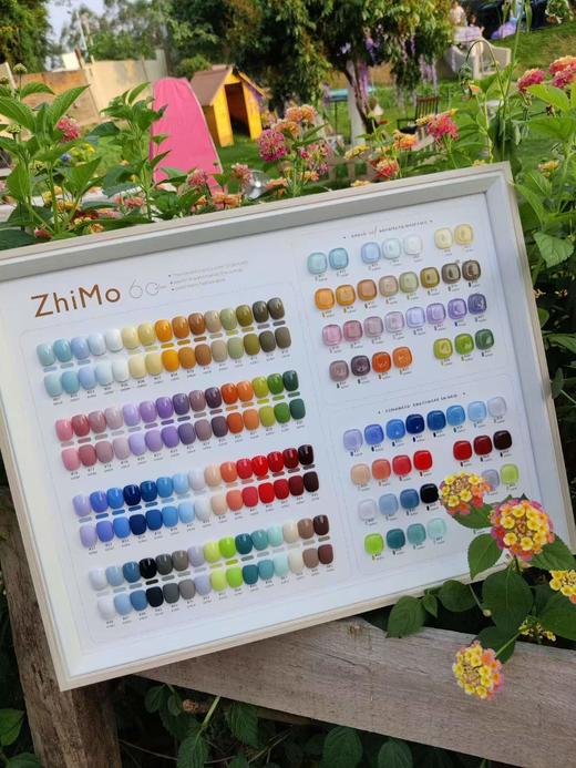 【秒杀价】60色开店拓客系列 商品图0