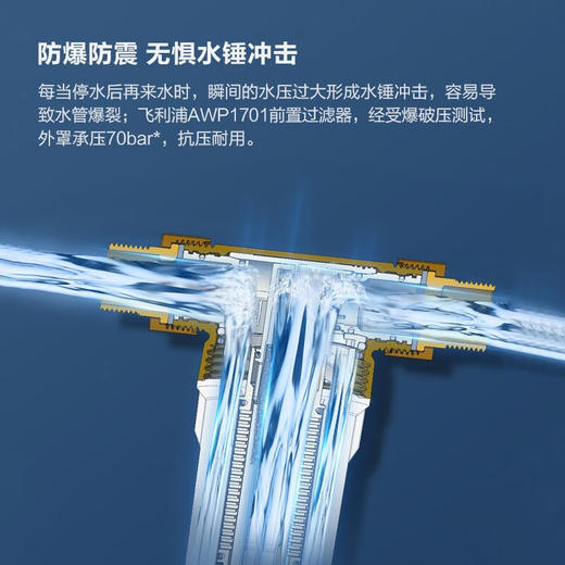 飞利浦（PHILIPS）前置过滤器前置净水器全屋净水器家用过滤器40微米过滤AWP1701 4T/H大流量过滤 商品图6