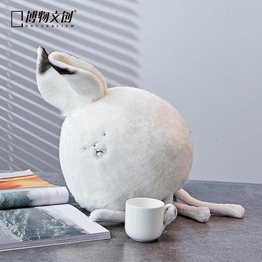 博物文创 大圆宝系列合集 兔狲雪鸮双髻鲨跳岩企鹅羚牛北极兔树麻雀虎鲸北极狐鸮鹦鹉大红鹳 商品图3