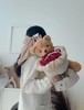 【花艺玩偶】泰迪熊（50CM/40CM/30CM）毛衣熊/领子熊/圣诞帽子熊 商品缩略图7