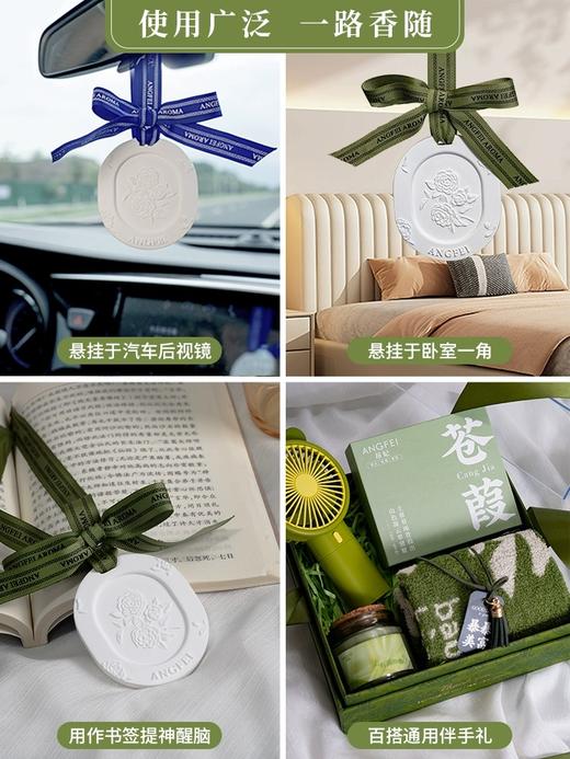 【昂妃】车载衣柜扩香石 除味香薰香挂 室内香氛挂件 创意ins风挂饰 商品图2