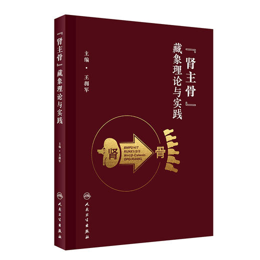 “肾主骨”藏象理论与实践 2023年8月参考书 9787117350037 商品图0