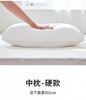 高回弹久睡不塌陷护颈枕48*74cm G114800035 商品缩略图1