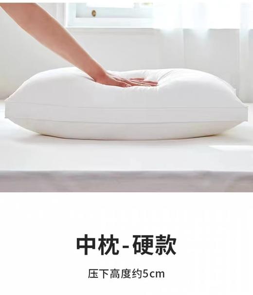 高回弹久睡不塌陷护颈枕48*74cm G114800035 商品图1