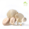 有机平菇 | 绿家自产* Organic Oyster mushroom | Self-production 商品缩略图2