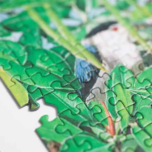 博物小馆原创【生态系统大拼图】章鱼哥精美手绘1000块拼图 商品图4