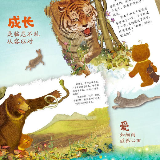 中少阳光图书馆 爸爸 别怕 2023年版 3-6岁 白冰 著 儿童绘本 商品图1