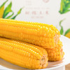 田里有草甜糯玉米 非转基因，509项农残0检出，无防腐剂，无添加剂 商品缩略图7