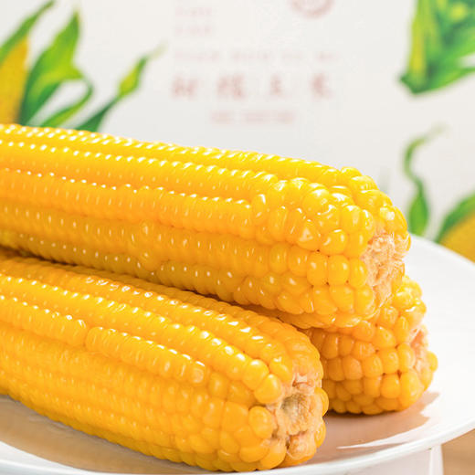 田里有草甜糯玉米 非转基因，509项农残0检出，无防腐剂，无添加剂 商品图7