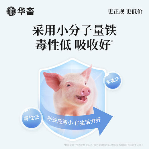 【积分兑换】华畜右旋糖酐铁注射液 血宝 补气血 抗贫血 仔猪补铁生血针 兽用生血素 商品图2