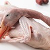 安吉溪水老鸭（半只）（鲜品） 商品缩略图1