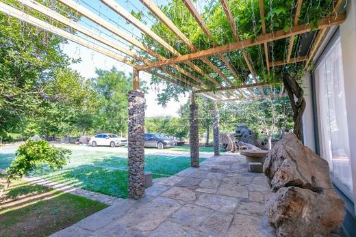 泰安慢姑娘柿子树下别墅轰趴 商品图3