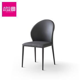 爱依瑞斯  【H118餐椅】