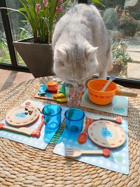 DJECO过家家玩具猫咪的晚餐（桶装）(暂时断货，6月初到货）