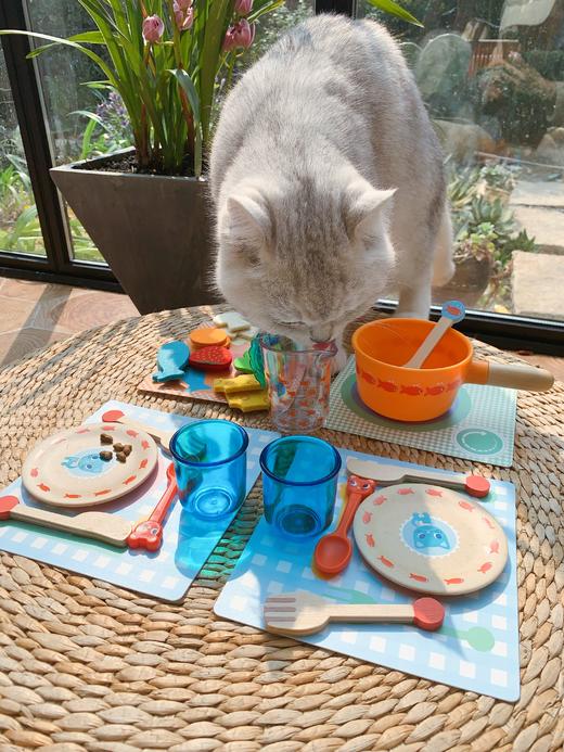 DJECO过家家玩具猫咪的晚餐（桶装）(暂时断货，6月初到货） 商品图0
