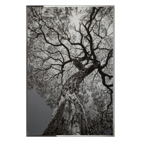 中洲公馆同款 客厅玄关过道葱郁装饰画