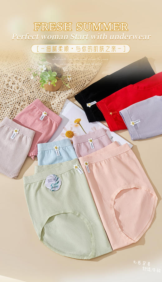 女士彩纱裸氨大版加肥加大三角内裤2033/5002/85002/95002/1121 商品图6