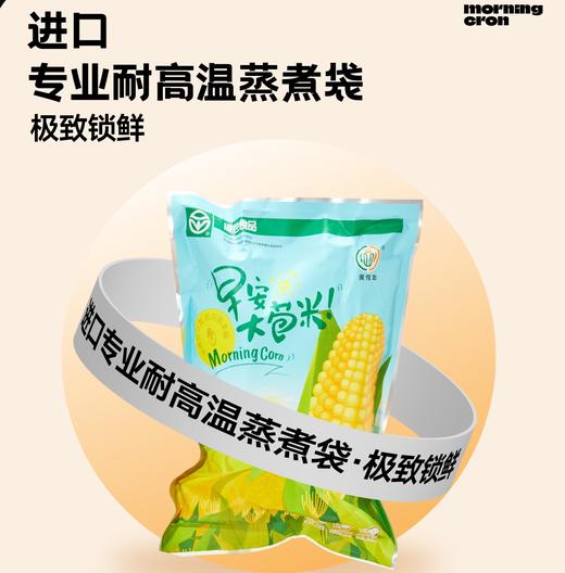 【第七季·早安大苞米】母婴级玉米，东北真空鲜穗玉米，软糯香甜不粘牙 商品图10