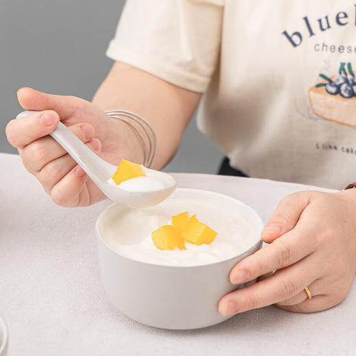 德铂Debo 马格德堡 (陶瓷套装)碟碗勺筷28件套 DB-85 商品图4