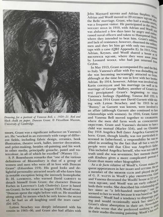 伍尔芙辞典 数十幅插图 精装16开 商品图12