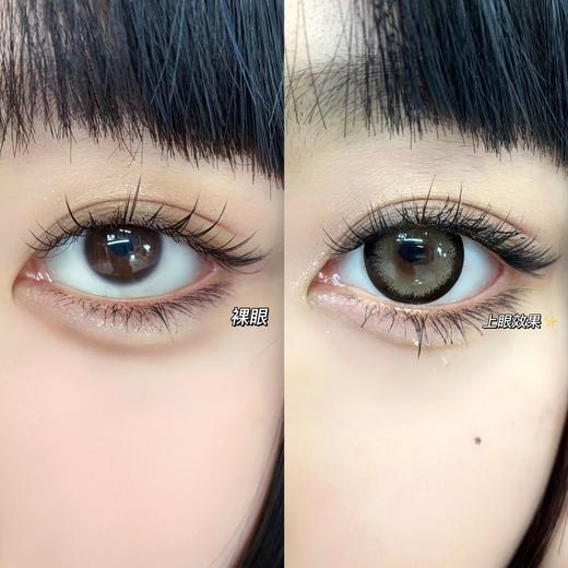 Doragina日抛·奶乖泰迪·14.5mm大着色·10片日抛 商品图10