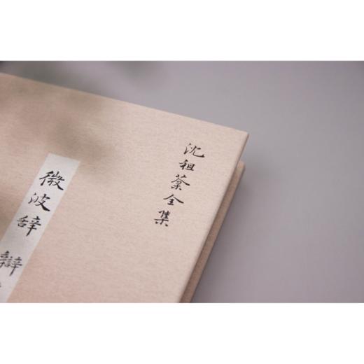 新民说 ·微波辞  辩才集 沈祖棻/著 沈祖棻全集 张春晓/主编 商品图3