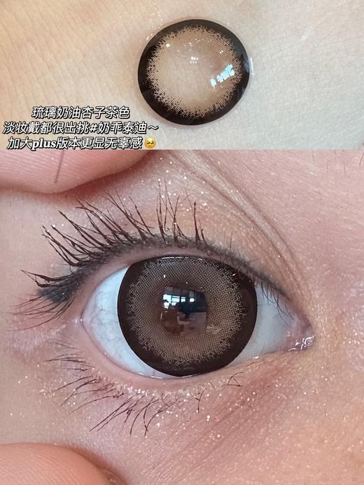 Doragina日抛·奶乖泰迪·14.5mm大着色·10片日抛 商品图8